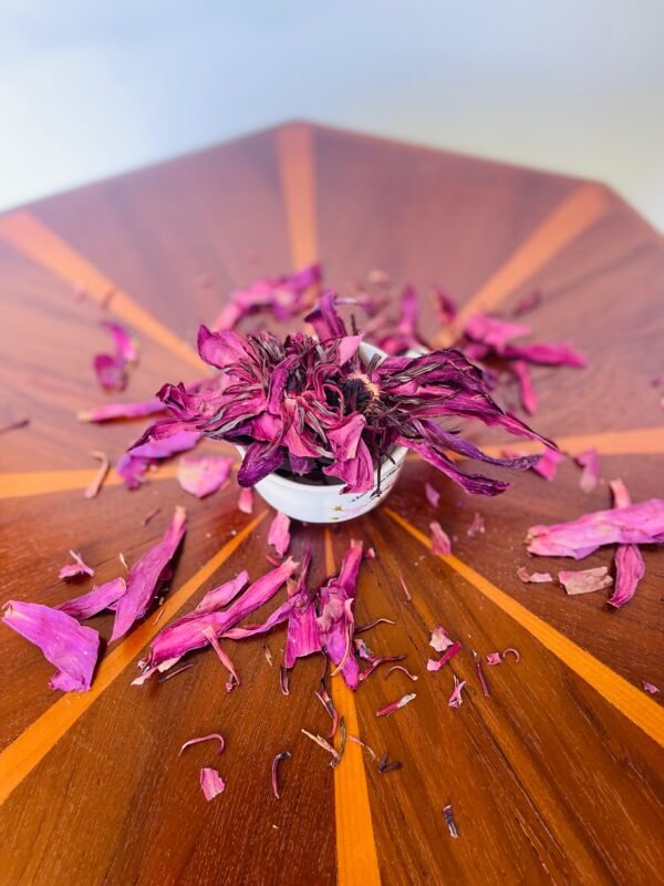 Premium Red Lotus Flowers, 100% Organic Nymphaea Rubra Flowers, Blue Lotus Alternative, Handcrafted,