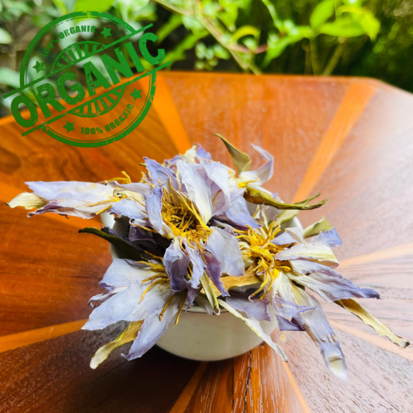 Authentic Egyptian Blue Lotus Nymphaea caerulea Natural Lake - Image 3