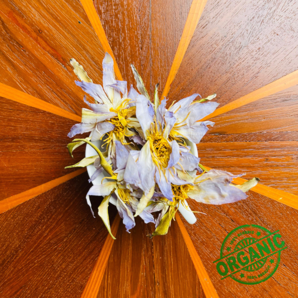 Authentic Egyptian Blue Lotus Nymphaea caerulea Natural Lake - Image 5