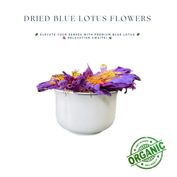 Premium Organic Blue Lotus Dried Flowers for Luxurious Wellness - Image 2